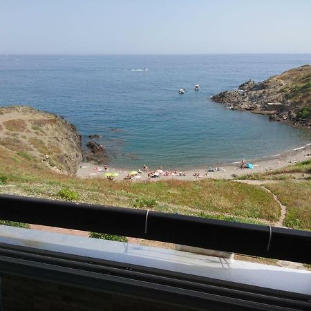 Portvendres Sea View Διαμέρισμα Port Vendres Εξωτερικό φωτογραφία