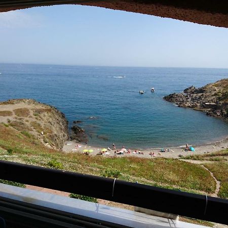 Portvendres Sea View Διαμέρισμα Port Vendres Εξωτερικό φωτογραφία