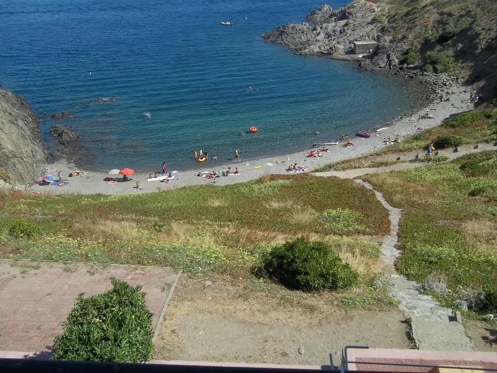 Portvendres Sea View Διαμέρισμα Port Vendres Εξωτερικό φωτογραφία